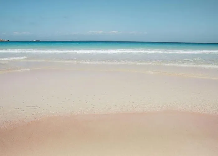 アパート Nuovo Trilocale Vicino Centro/mare